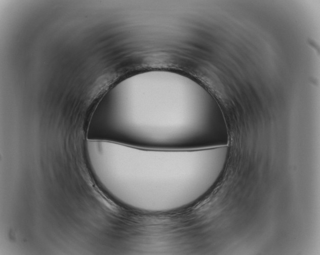 X0000098210397200804241106