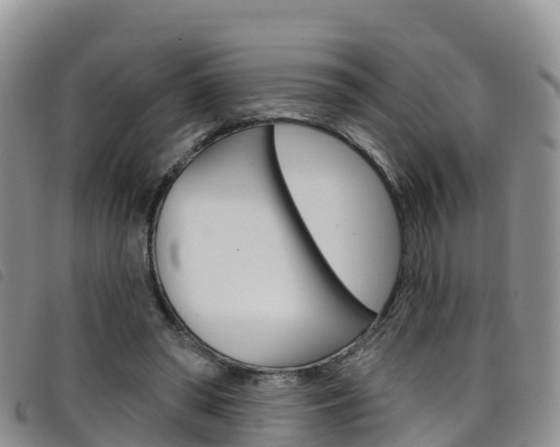 X0000098210398200804241106