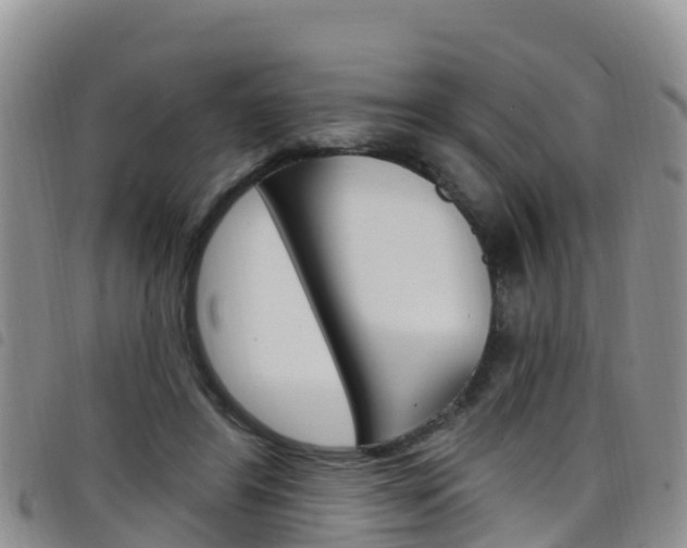 X0000098210404200804241106
