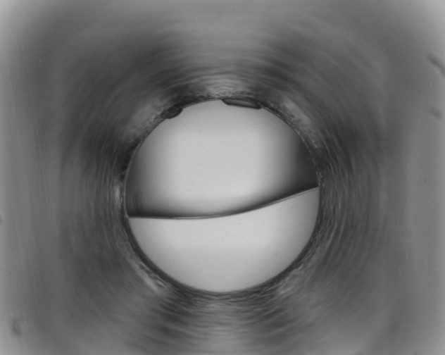 X0000098210405200804241106