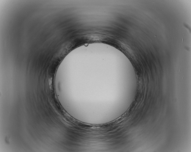 X0000098210406200804241106