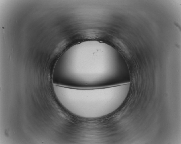 X0000098210407200804241106