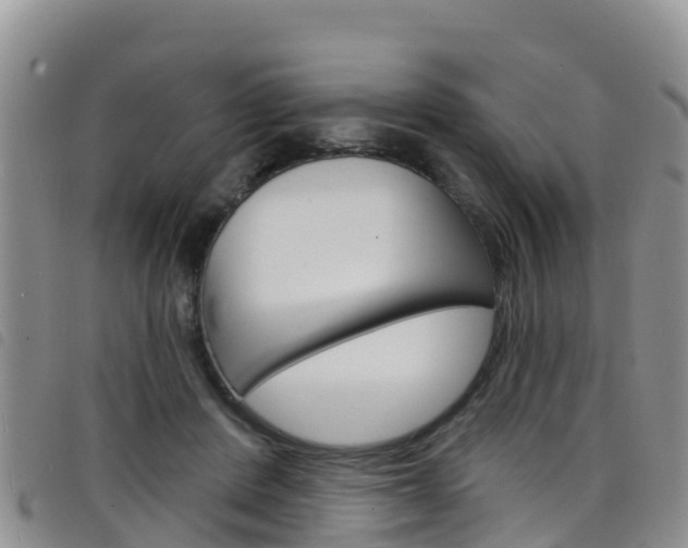 X0000098210408200804241106