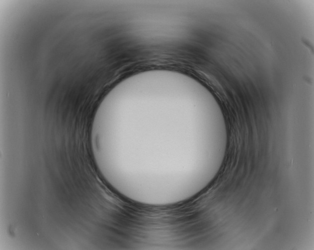X0000098210409200804241106