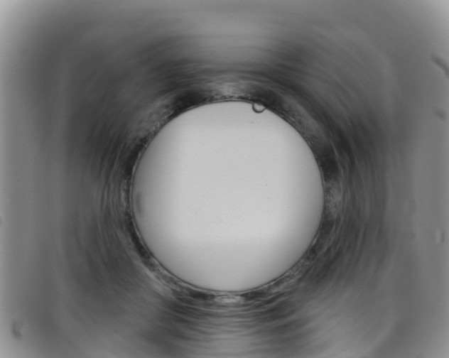 X0000098210410200804241106
