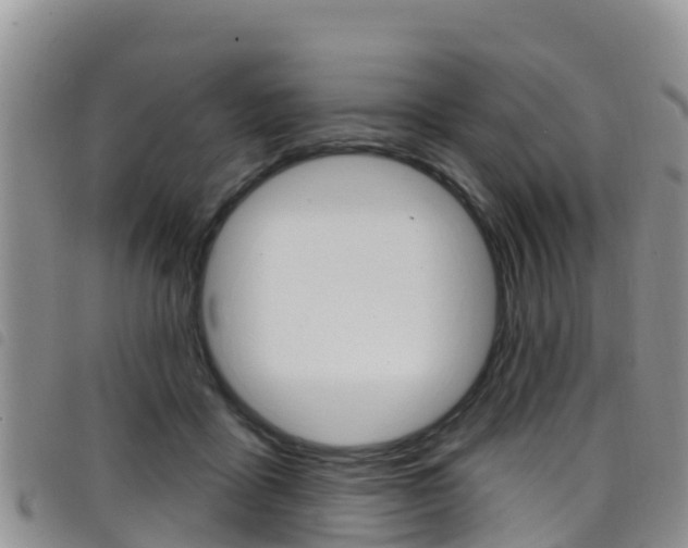 X0000098210411200804241106