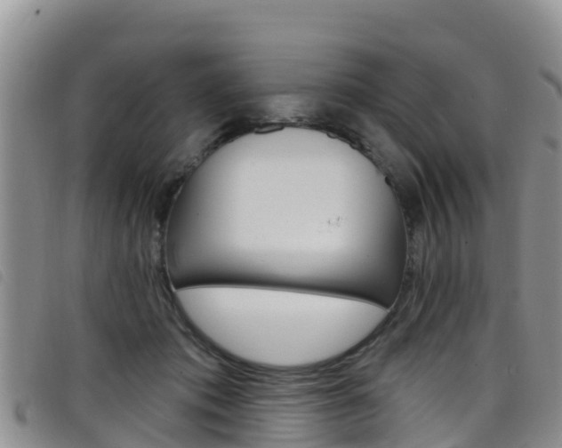 X0000098210413200804241106