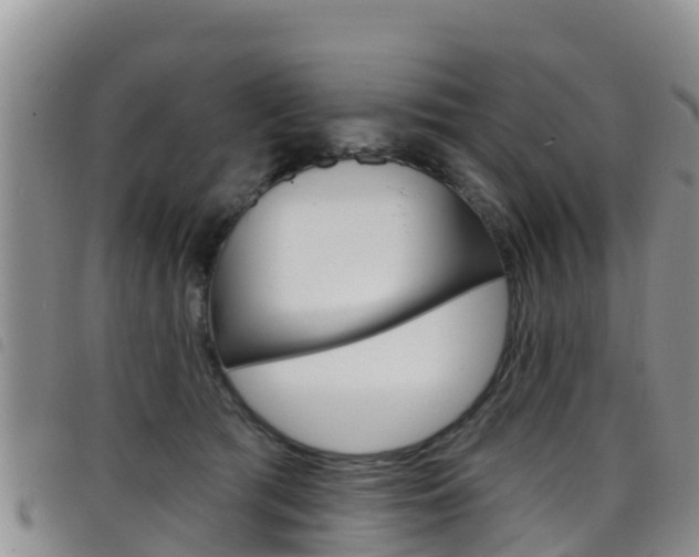 X0000098210417200804241106