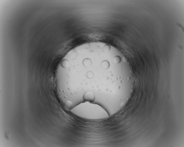 X0000098210418200804241106