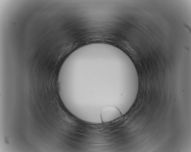 X0000098210419200804241106