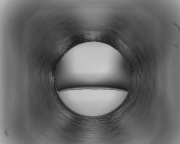 X0000098210420200804241106