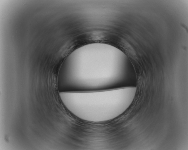 X0000098210421200804241106
