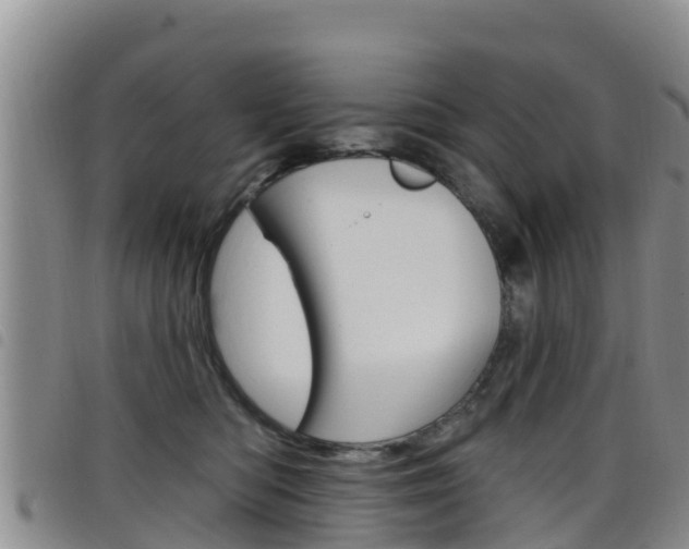 X0000098210422200804241106