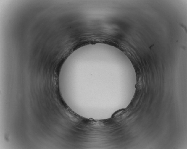 X0000098210424200804241106