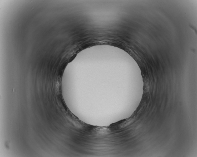 X0000098210427200804241106