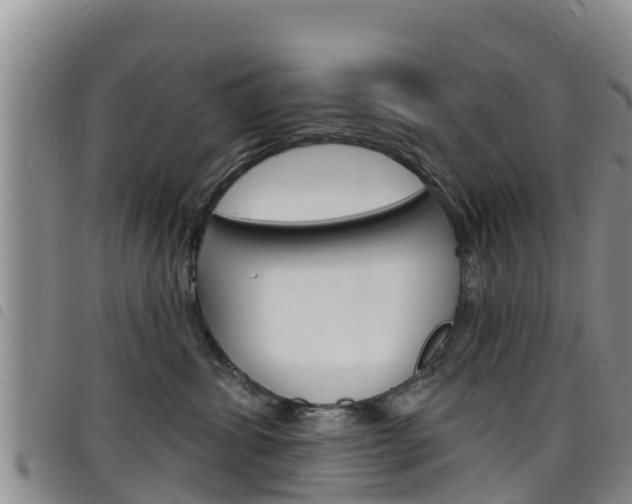 X0000098210428200804241106