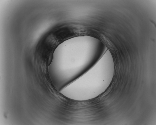 X0000098210429200804241106