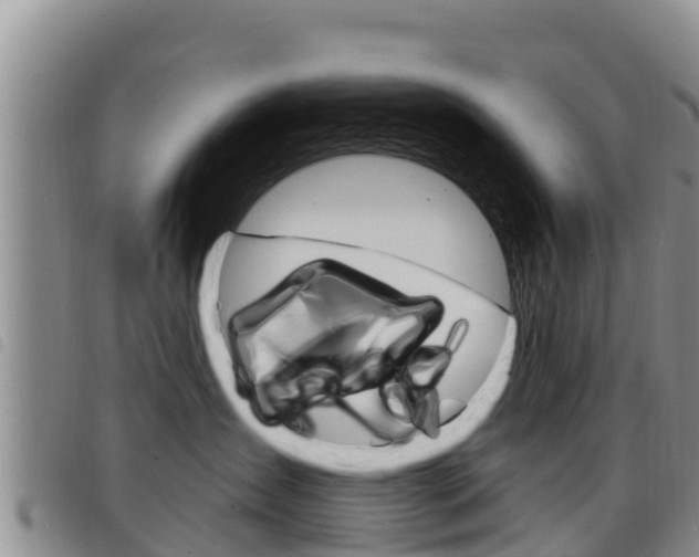 X0000098210431200804241106