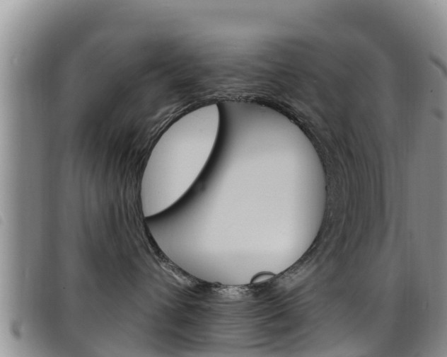 X0000098210432200804241106