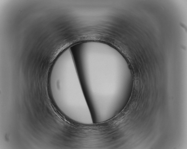 X0000098210434200804241105