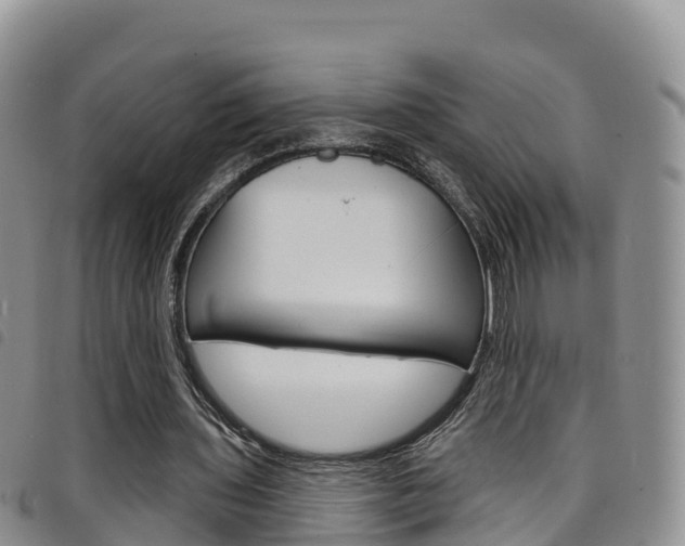 X0000098210435200804241105