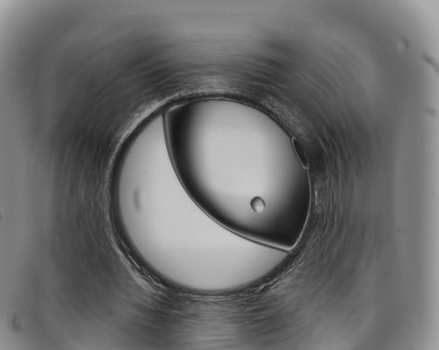 X0000098210436200804241105