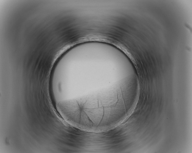 X0000098210438200804241105