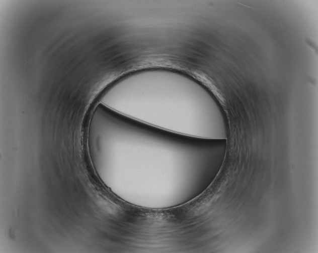 X0000098210439200804241105