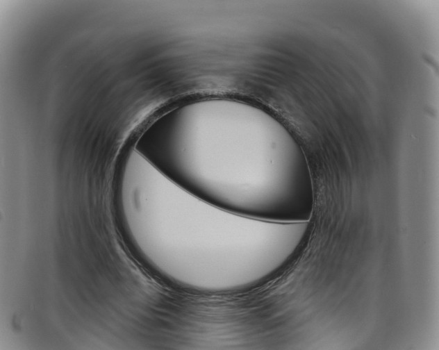 X0000098210440200804241105