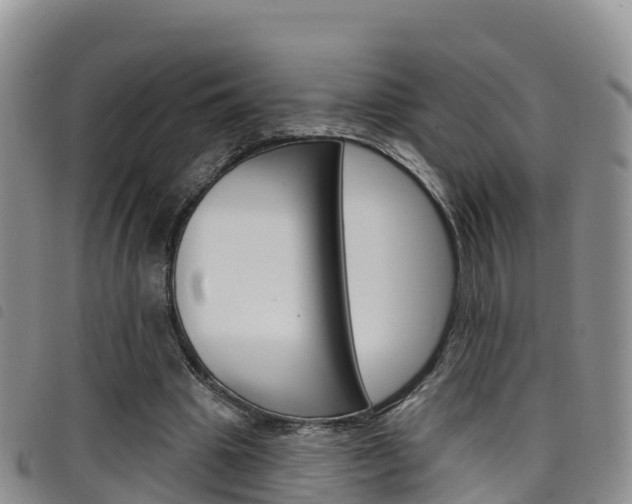 X0000098210441200804241105