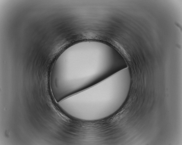 X0000098210442200804241105