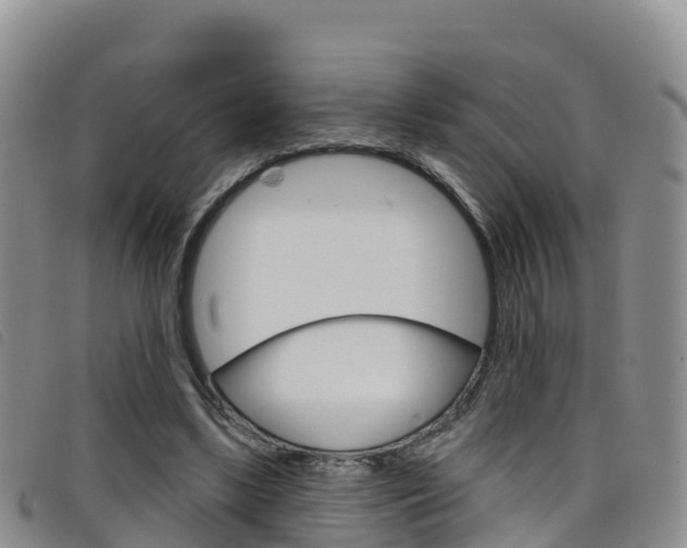 X0000098210443200804241105