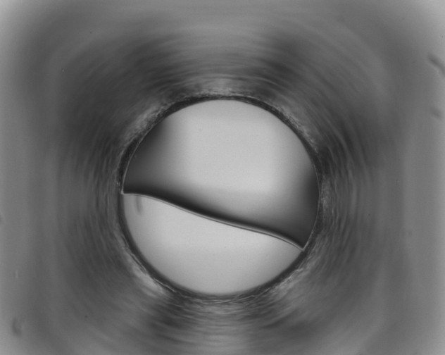 X0000098210445200804241105