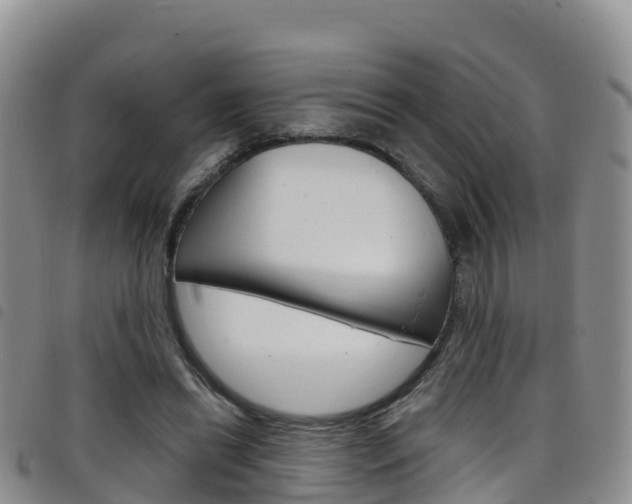 X0000098210446200804241105