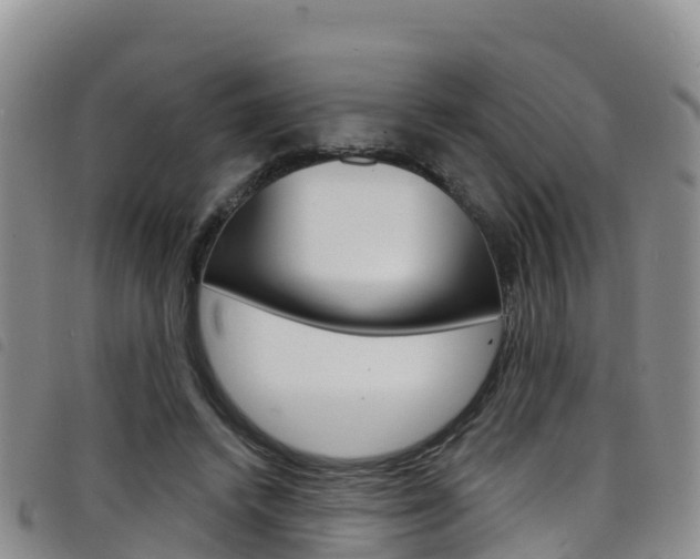 X0000098210448200804241105