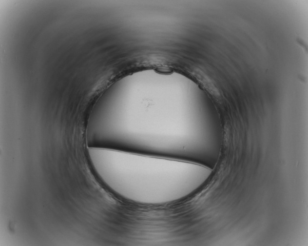 X0000098210449200804241105