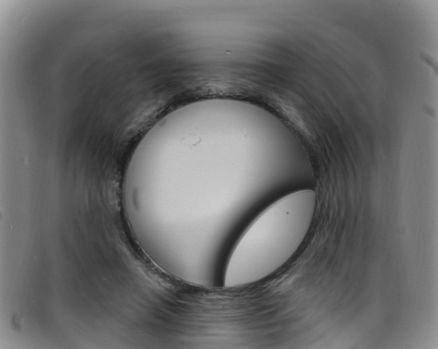 X0000098210450200804241105