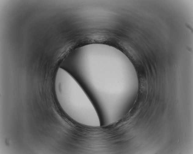 X0000098210451200804241105
