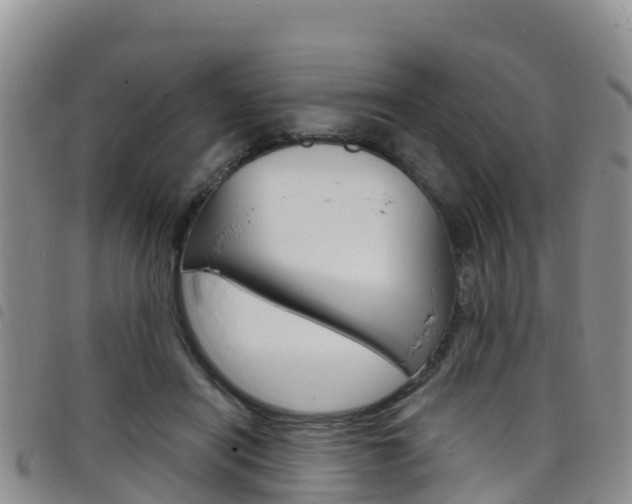 X0000098210454200804241105