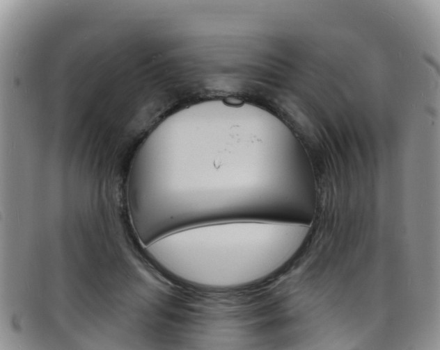 X0000098210455200804241105