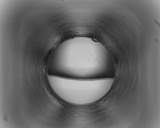 X0000098210456200804241105