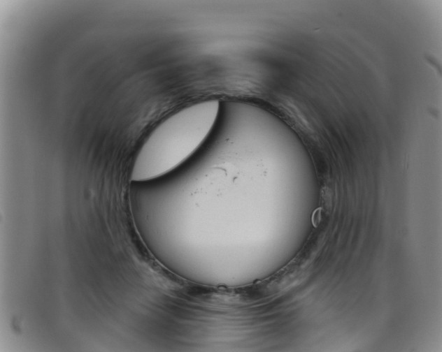 X0000098210458200804241105
