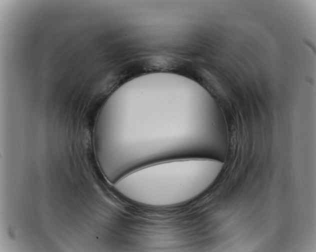 X0000098210459200804241105