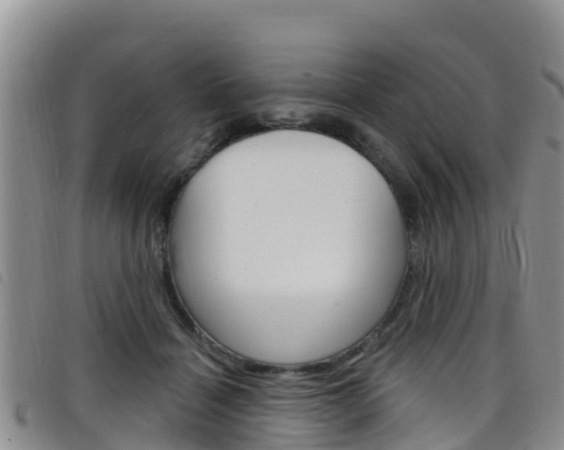 X0000098210460200804241106
