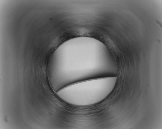 X0000098210461200804241106