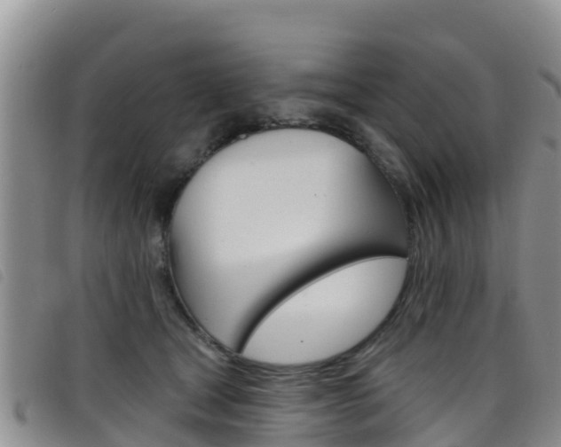 X0000098210465200804241106