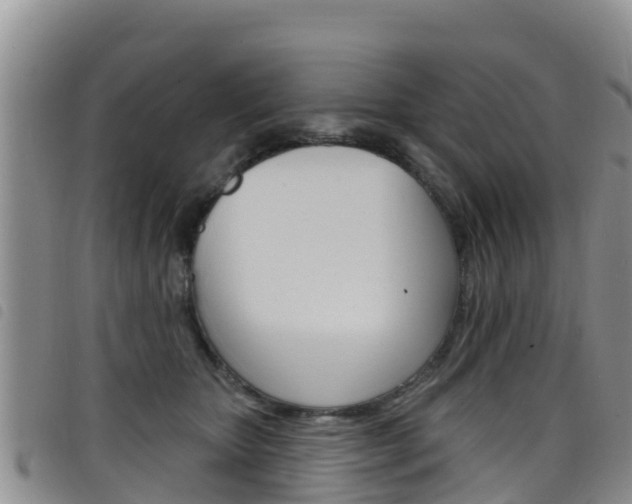 X0000098210467200804241106