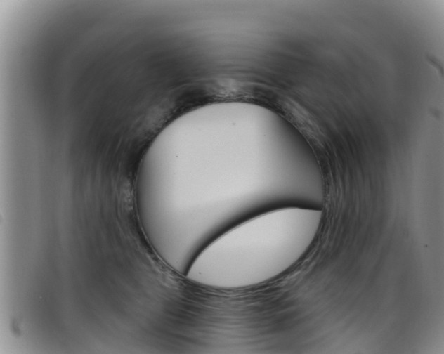 X0000098210469200804241106
