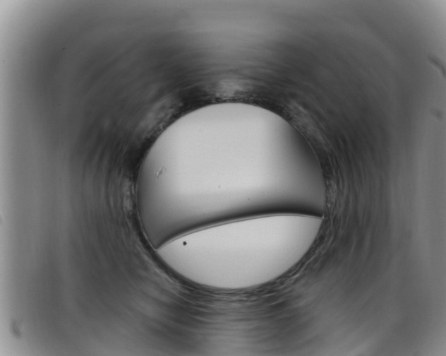 X0000098210470200804241106