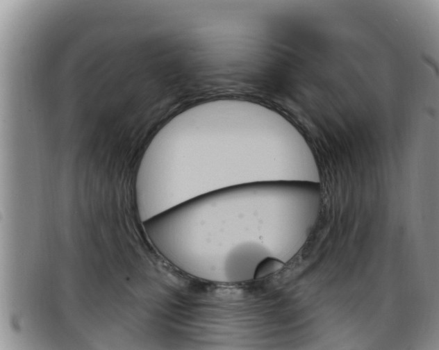 X0000098210471200804241106